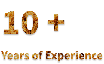 10+ Years of Experience